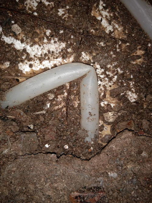 伊通堵点精准查找